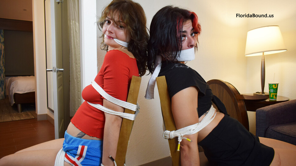 Back To Back Damsels