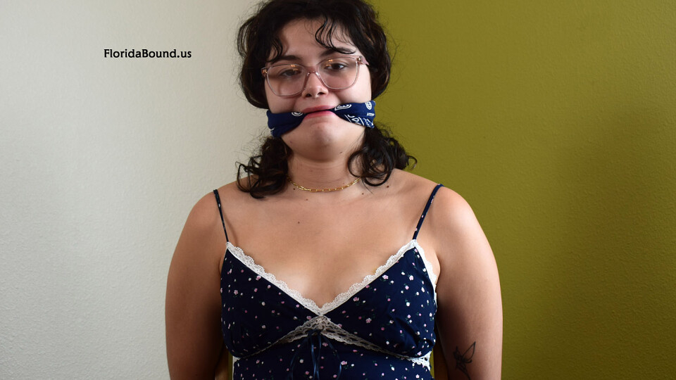 Gracie Bound In Blue